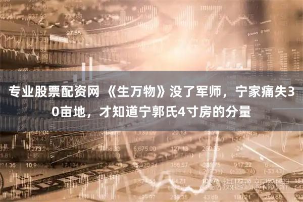专业股票配资网 《生万物》没了军师，宁家痛失30亩地，才知道宁郭氏4寸房的分量