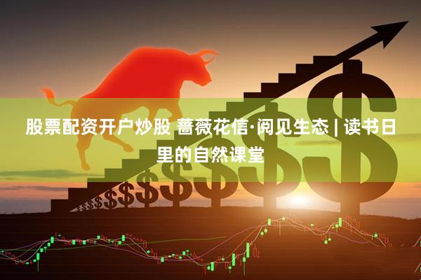 股票配资开户炒股 蔷薇花信·阅见生态 | 读书日里的自然课堂